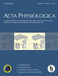 Diet‐induced maternal obesity impacts feto‐placental growth and induces  sex‐specific alterations in placental morphology, mitochondrial  bioenergetics, dynamics, lipid metabolism and oxidative stress in mice