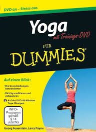 gute yoga dvd anfänger de