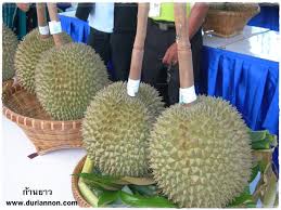 อันดับ 5 ทุเรียนนนทบุรี พันธุ์หมอนทอง (ลูกที่ 1) คุณไพรัตน์ เอื้อชูยศ รองประธานสภาอุตสาหกรรมแห่งประเทศไทย ประมูลได้ในราคา 200,000 บาท เงินรายได้มอบ. à¸ž à¸™à¸˜ à¸ à¸²à¸™à¸¢à¸²à¸§