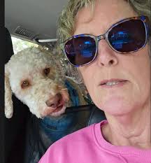 Teddy bear no fit bear am again he don dey drink beer😂💔