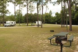Salt springs campground is a camp in florida. Salt Springs Recreation Area Picture Of Salt Springs Recreation Area Tripadvisor