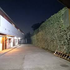 Hotel California Temuco