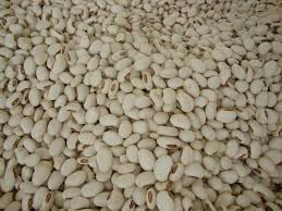 Image result for Canavalia ensiformis