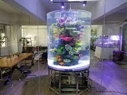 We did not find results for: Cylinder Aquariums Redfin Aquarium Design