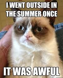 At memesmonkey.com find thousands of memes categorized into thousands of categories. 12 Funny Summer Memes That Will Make You See The Season Differently