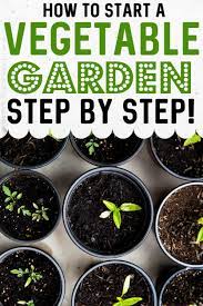 How To Start A Vegetable Veggie Garden For Absolute Beginners Starting A Vegetable Garden Backyard Vegetable Gardens Vegetable Garden For Beginners
