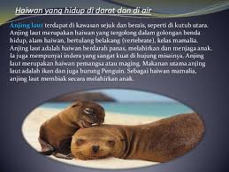 Ada juga hewan air tawar yang tinggalnya di kolam sungai. Muat Turun Bermacam Contoh Gambar Mewarna Anjing Yang Berguna Dan Boleh Di Perolehi Dengan Segera Gambar Mewarna