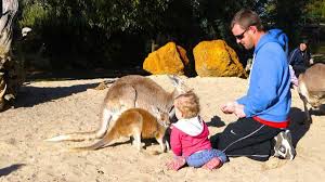 We make the birthday child feel special. 5 Favorite 2 Year Old Birthday Day Out Ideas What To Get My