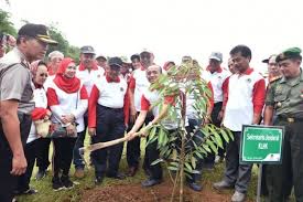 Sebagai seorang ahli keluarga yang bertanggungjawab, saya rajin. Menanam Pohon Sama Dengan Menyemai Doa Cari Tahu Maknanya
