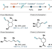 Regioselective Electrochemical Borylation of Oxygenated ...