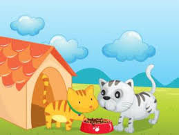 I feed my cat 1 can of wet food per day. Should I Feed My Cats Separately Why Does My Cat Eat My Other Cats Food