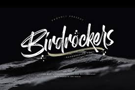 Ready to use the font in a canvas context console.log('font ready'); Birdrockers Font By Rochart Creative Fabrica Brush Font Script Fonts Fonts