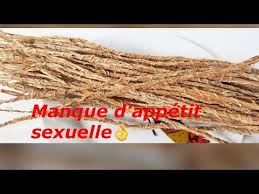 Epingle Sur Sante Par Les Plantes