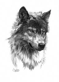 Black And White Wolf Tattoo I Seriously Like The Designs Outlines And Linework This Is Definitely A Great Tattoo Design If You Would L White Wolf Tattoo Wolf Tattoos Wolf Tattoo Design