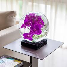 Vidro Globo E Uma De Nossas Pecas Decorativas Do Garimpo Orbi Snow Globes Decor Globe