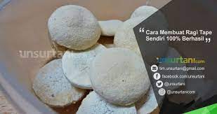 We did not find results for: Cara Membuat Ragi Tape Sendiri 100 Berhasil Unsurtani Com