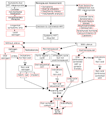 Decision Tree Flow Chart Menopause Matters