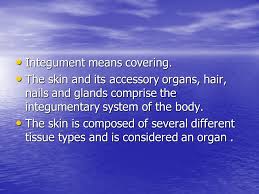 Physical Assessment Of The Integumentary System Integument Means Covering Integument Means Covering The Skin And Its Accessory Organs Hair Nails Ppt Download