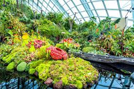 Tickets to the cloud forest are sg$28 (us$22.40), including access to the flower dome as well. Cloud Forest At Gardens By The Bay One Of Singapore S Coolest Attractions Go Guides