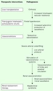 References In Hepatorenal Syndrome The Lancet