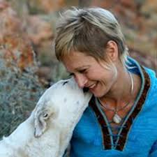 Stream Amanda Hofer music