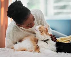 person petting a happy catの画像