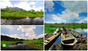 Rawa dano atau yang sama artinya dengan rawa danau adalah salah satu objek wisata banten yang sudah menjadi wisata cagar alam. Jenis Tempat Wisata Di Banten Yang Bisa Kamu Singgahi Bersama Orang Terkasih Ngadem Com