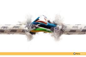 You can try using a toy and treats to praise him when he plays with the toy instead of trying to chew the cord. Tips For Stopping Rodents From Chewing Electrical Wires Penny Electric