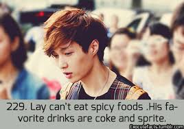 Those Are My Favorite Drinks Too But I Really Like Spicy Food Exo Facts Exo Memes Funny Exo Sign