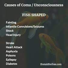 The Common Causes Of Unconsciousness Fish Shaped Coma Unconsciousness Unconscious Firstaid Firstaider Cpr Avpu Firstresponder Firstaidtraining Cprtr
