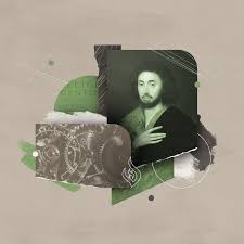 Image result for Thesium dissitum