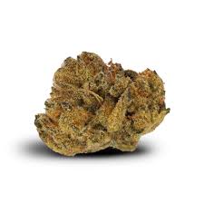 Image result for Grona stolzii