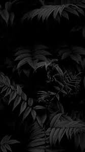 Only the best hd background pictures. Black Wallpaper Hd For Mobile Zendha