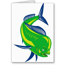 Dorado Dolphin Fish Or Mahi Mahi Greeting Card Fish Art Fish Painting Fish