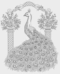 Peacock Coloring Pages For Kids 830 1024 High Definition Wallpaper Background Wallpapers Http Peacock Coloring Pages Coloring Pages Animal Coloring Pages