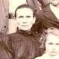 Sophronia Bradley (1864–1939) • FamilySearch