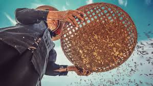 One of the best ways to increase the production value of your youtube guitar video is to film yourself (and your guitar) with many different camera angles. Camera Angles A Complete Guide Videomaker