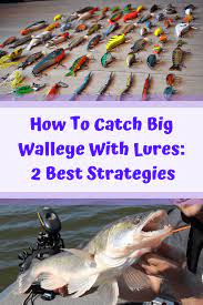 How To Catch Big Walleye With Lures 2 Best Strategies Walleye Fishing Tips Walleye Walleye Fishing