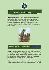 Maybe you would like to learn more about one of these? How To Trim A Palm Tree The Tree Doctor By The Tree Doctor Issuu