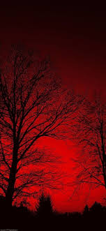 Maybe you would like to learn more about one of these? Dark Red Aesthetic On Tumblr Dark Red Wallpaper Red Aesthetic Grunge Dark Red Background