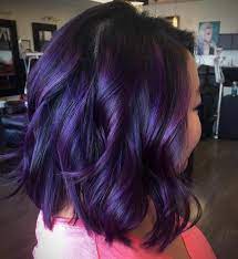 Also, plum highlights work best for deep black hair. 20 Plum Hair Color Ideas For Your Next Makeover 2021 Update