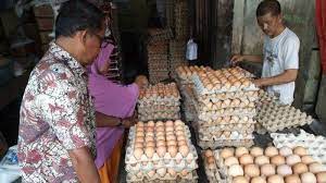 Selain harga telur yang cukup mahal, cara budidaya ayam petelur termasuk cara yang cukup mudah dan sederhana untuk dilakukan. Harga Telur Ayam Capai Rp 42 000 Papan Serambi Indonesia