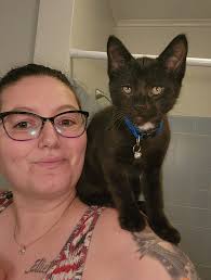 Aug. 17 is Black Cat Appreciation Day! 🖤