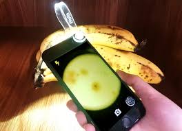 It helps in reducing risk of heart diseases when each group will first identify the pests, defenders and diseases collected. The New Microscope Device Putting Pest And Disease Detections Back In The Hands Of Farmers