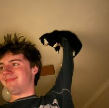 this is my first time doing this sort of thing, please be kind and gentle.  #dump