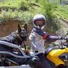Search, discover and share your favorite dog motorcycle gifs. 1
