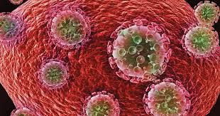 Untreated hiv affects and kills cd4 cells, which are a type of immune cell called t cell. Hiv Gains Lag For Black Hispanic And Young Msm In Us