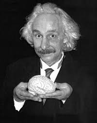 An Einstein look-alike builds a brilliant career from a remarkable  coincidence