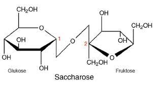 Consequently, sugar is not a lipid. Table Sugar