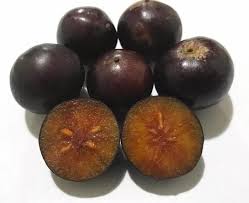 Image result for Flacourtia indica